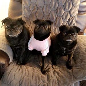 Meet your Posher, Michaela